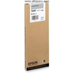Tinta Epson T606700 Claro Negro T6067, 220Ml